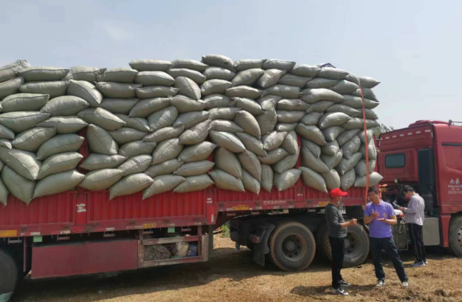 郑州中联“
用户”:村长王洪涛的故事(图2) 1-230605104R1C3.png