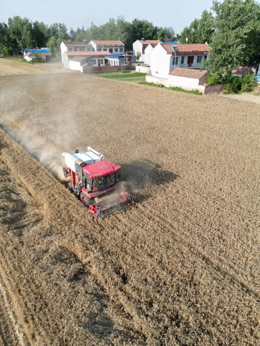 30年只做一件事:为什么越来越多农机手认准「中联收获」?(图6)
